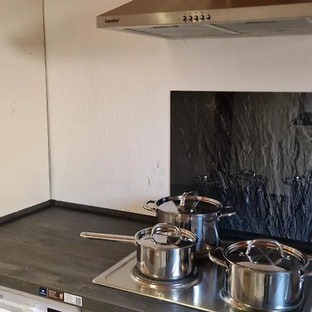 Zentral Gelegene In Ingelheim, Nahe A60 Fuer Monteure Mit Parkplatz דירה אינגלהיים אם ריין