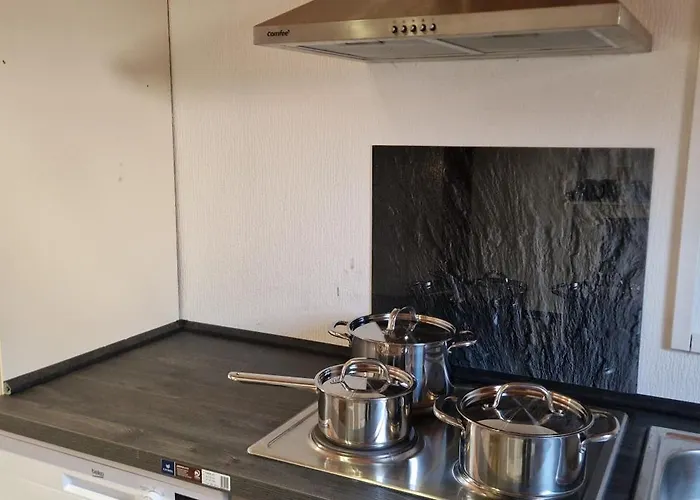 Zentral Gelegene In Ingelheim, Nahe A60 Fuer Monteure Mit Parkplatz דירה אינגלהיים אם ריין